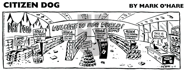 Citizen Dog on Saturday May 31, 2025 Comic Strip