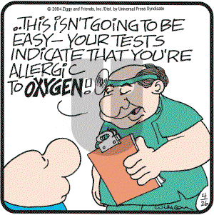 Ziggy - Monday April 26, 2004 Comic Strip