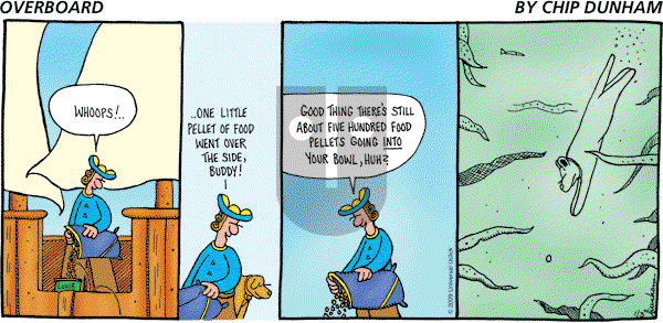 Overboard - Sunday January 3, 2010 Comic Strip