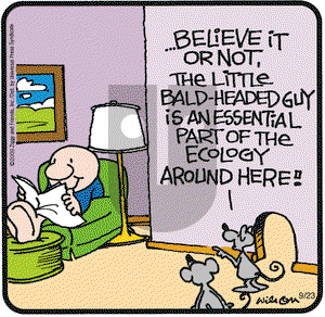 Ziggy on Wednesday September 23, 2009 Comic Strip
