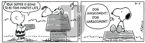 Peanuts on Monday August 5, 1991 Comic Strip
