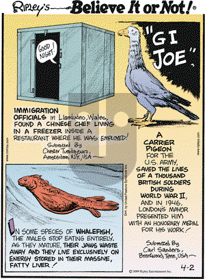 Ripley's Believe It or Not on Monday April 13, 2009 Comic Strip