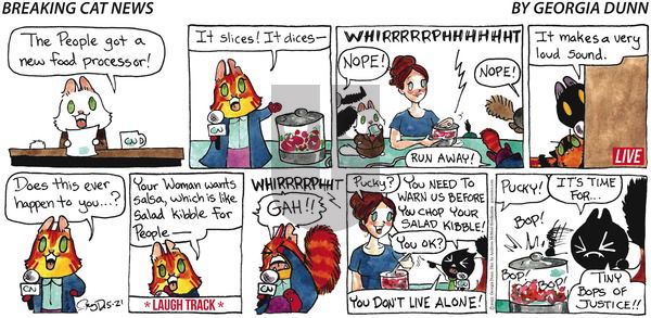 Breaking Cat News - Sunday May 21, 2023 Comic Strip