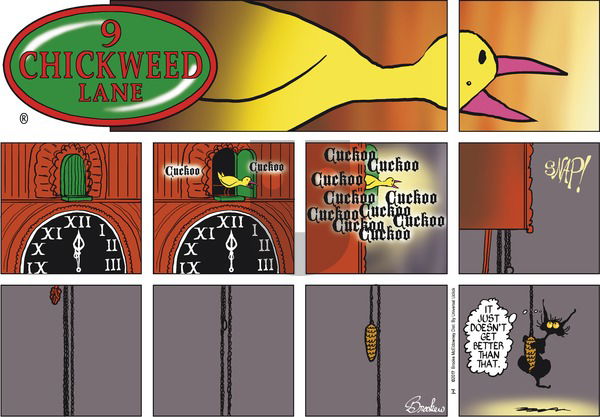 9 Chickweed Lane on Sunday January 1, 2017 Comic Strip