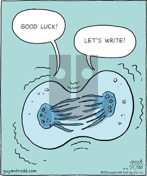 Brevity on Wednesday December 31, 2008 Comic Strip