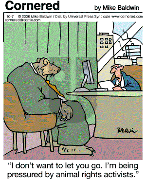 Cornered - Tuesday October 7, 2008 Comic Strip