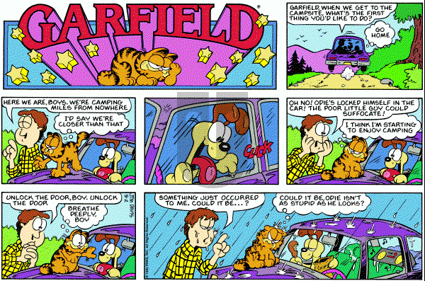 Garfield on Sunday September 2, 1984 Comic Strip