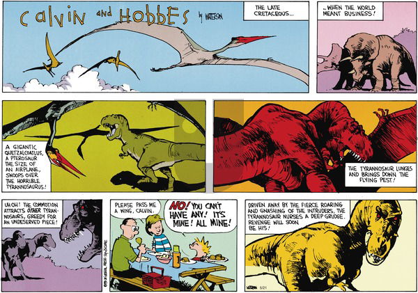 Calvin and Hobbes on Sunday July 8, 1990 Comic Strip