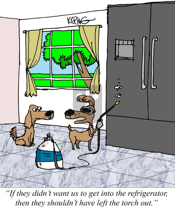 Jerry King Comics on Sunday August 3, 2025 Comic Strip