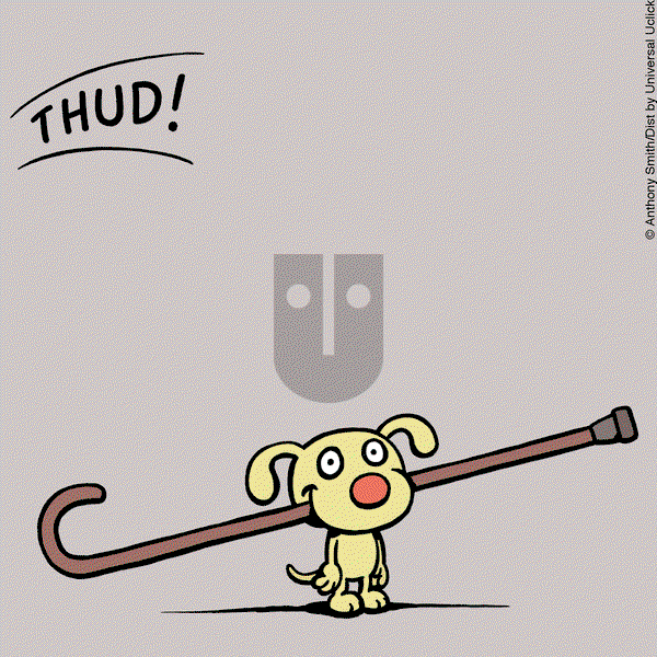 Cattitude — Doggonit - Tuesday May 21, 2024 Comic Strip