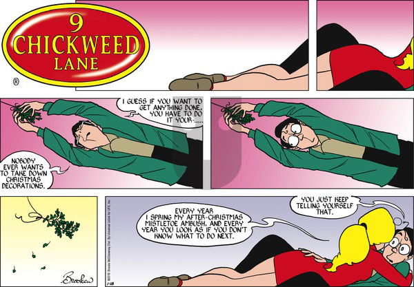 9 Chickweed Lane on Sunday January 18, 2015 Comic Strip
