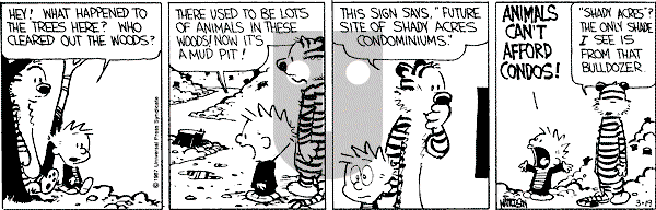 Calvin and Hobbes - Thursday March 19, 1987 Comic Strip