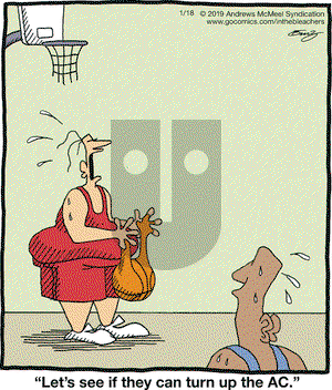 In the Bleachers on Friday January 18, 2019 Comic Strip