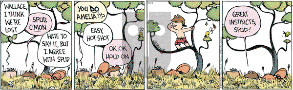 Wallace the Brave on Wednesday July 31, 2019 Comic Strip