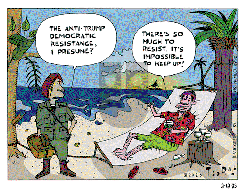 Ted Rall on Wednesday February 12, 2025 Comic Strip