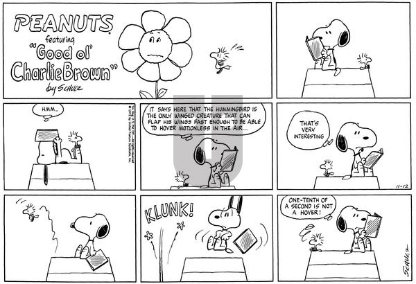Peanuts on Sunday November 12, 1972 Comic Strip