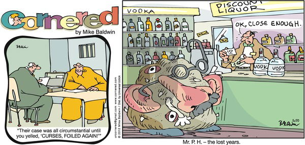 Cornered on Sunday May 20, 2012 Comic Strip