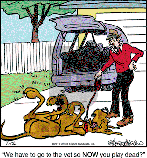 Marmaduke on Tuesday January 12, 2010 Comic Strip