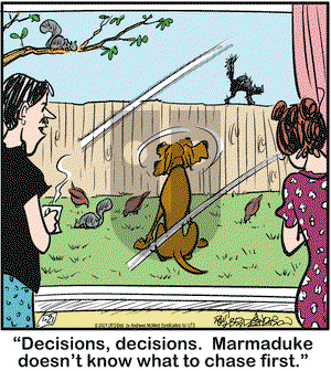 Marmaduke on Thursday January 21, 2021 Comic Strip