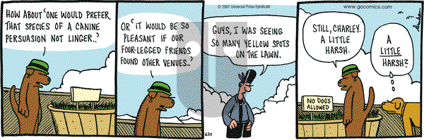 Overboard - Wednesday June 13, 2007 Comic Strip