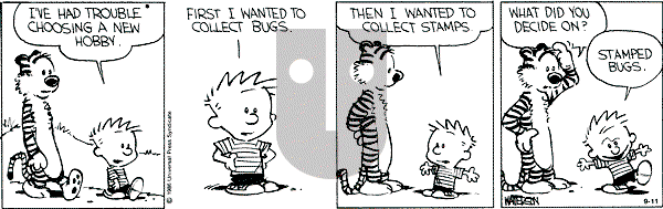 Calvin and Hobbes - Wednesday September 11, 1991 Comic Strip