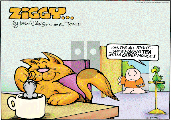 Ziggy - Sunday September 27, 2009 Comic Strip
