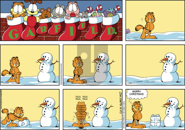 Garfield on Sunday December 25, 2011 Comic Strip