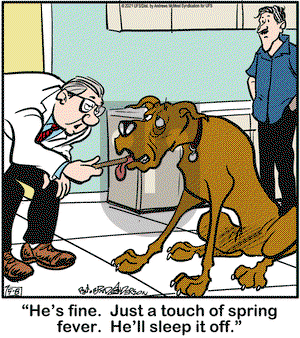 Marmaduke on Saturday May 8, 2021 Comic Strip