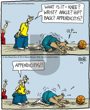 In the Bleachers on Friday March 2, 2012 Comic Strip