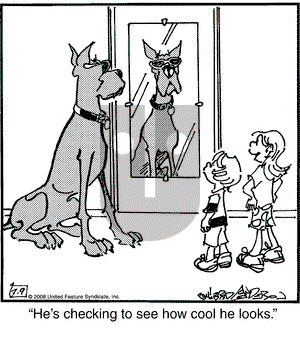 Marmaduke on Wednesday July 9, 2008 Comic Strip