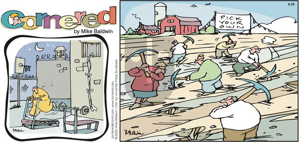 Cornered on Sunday August 28, 2005 Comic Strip