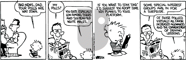 Calvin and Hobbes - Monday December 2, 1985 Comic Strip