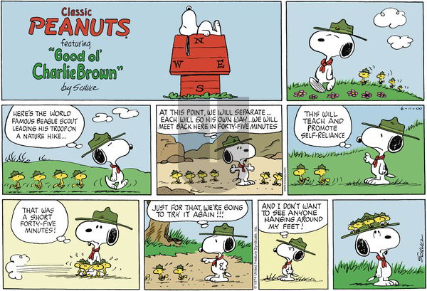 Peanuts - Sunday June 11, 2000 Comic Strip