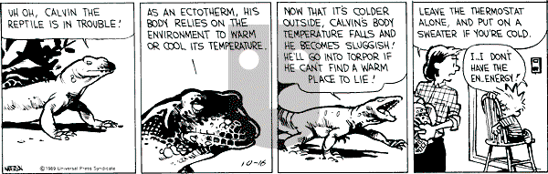 Calvin and Hobbes - Monday October 16, 1989 Comic Strip