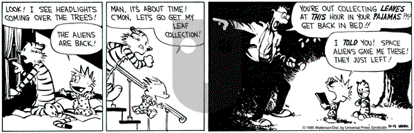 Calvin and Hobbes on Thursday October 19, 1995 Comic Strip