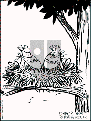 Moderately Confused on Tuesday May 25, 2004 Comic Strip
