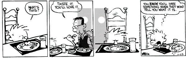 Calvin and Hobbes - Saturday November 23, 1985 Comic Strip
