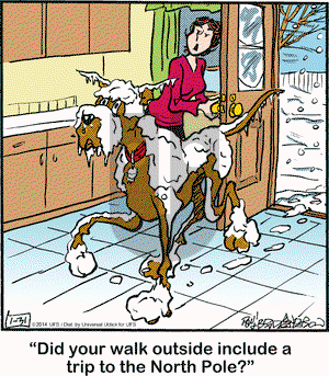 Marmaduke - Friday January 31, 2014 Comic Strip