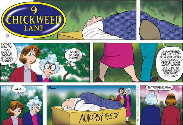 9 Chickweed Lane on Sunday July 15, 2007 Comic Strip