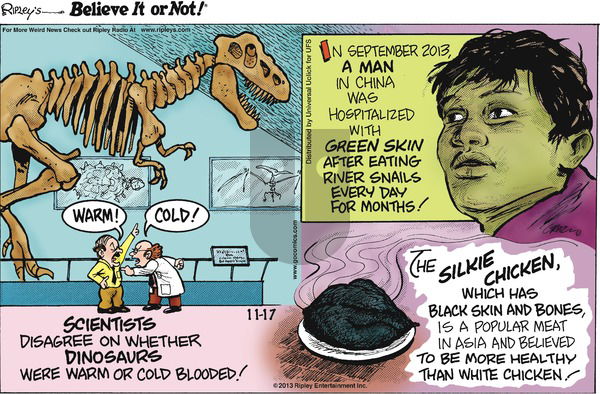 Ripley's Believe It or Not on Sunday November 17, 2013 Comic Strip