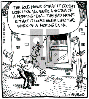 Reality Check on Thursday December 2, 2004 Comic Strip