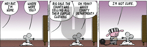 Pearls Before Swine on Friday December 30, 2016 Comic Strip