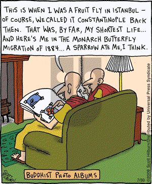 The Argyle Sweater on Thursday July 30, 2009 Comic Strip