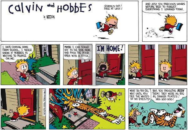 Calvin and Hobbes on Sunday September 11, 1988 Comic Strip