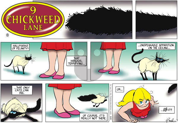 9 Chickweed Lane on Sunday March 13, 2011 Comic Strip