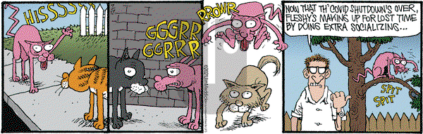 Monty on Saturday July 17, 2021 Comic Strip