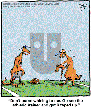 In the Bleachers on Tuesday June 18, 2013 Comic Strip