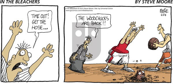 In the Bleachers on Sunday May 17, 2015 Comic Strip