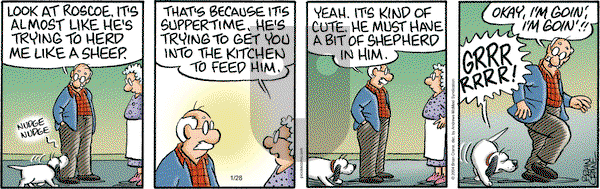 Pickles - Tuesday January 28, 2025 Comic Strip