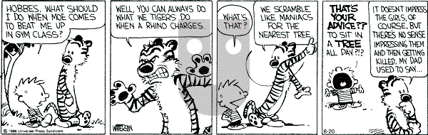 Calvin and Hobbes - Tuesday August 20, 1991 Comic Strip